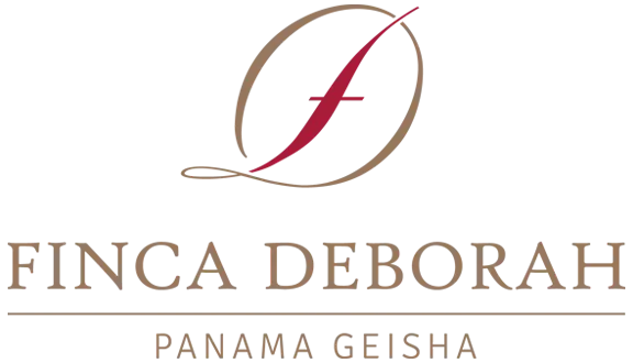 Panama Chiriquí Finca Deborah Terroir Geisha Washed