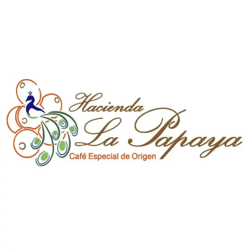 Ecuador Loja Hacienda La Papaya Sidra Washed
