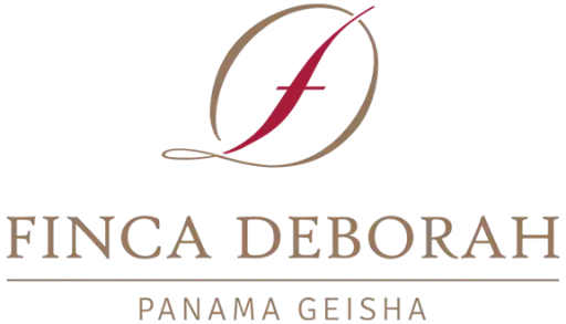 Panama Chiriquí Finca Deborah Terroir Geisha Washed